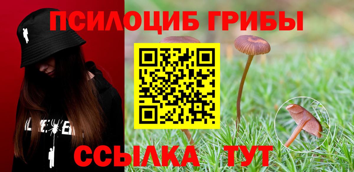 Ставрополь  Псилоцибиновые грибы GOLDEN TEACHER  Вход с VPN 
