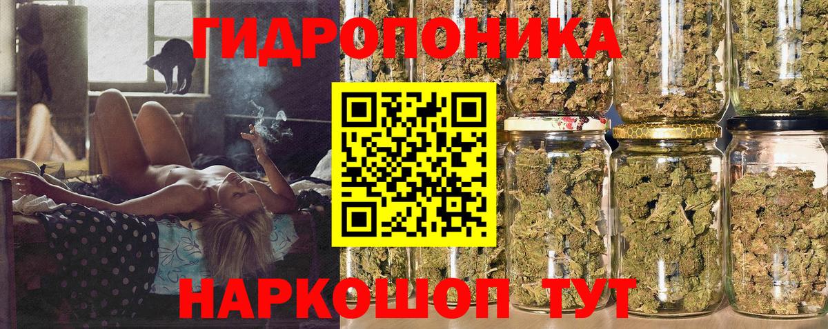 Бошки марихуана ГИДРОПОН  МАРИХУАНА VHQ  Вход с VPN  Бошки марихуана Ganja  Ставрополь 